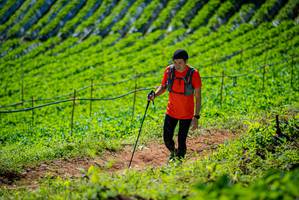 BIB: 
                            <button type="button" onclick="openModal(19163143)" class="btn btn-primary btn-sm float-right btn-popup" data-toggle="modal" data-target=".modal-high-quality">
                        <i class="fas fa-shopping-cart"></i> Add to Cart
                    </button>
                                            <button type="button" onclick="isThisMe(19163143, true)" class="btn btn-success btn-sm float-right btn-popup btn-isme hidden" data-toggle="tooltip" data-placement="bottom" title="นี่คือรูปของคุณใช่ไหม คลิกที่นี่เพื่อเอาเข้าอัลบั้ม">
                        <i class="fas fa-plus"></i> Add to album
                    </button>
                    <button type="button" onclick="isThisMe(19163143, false)" class="btn btn-warning btn-sm float-right btn-popup btn-isnotme hidden">
                        <i class="fas fa-ban"></i> Remove from album
                    </button>